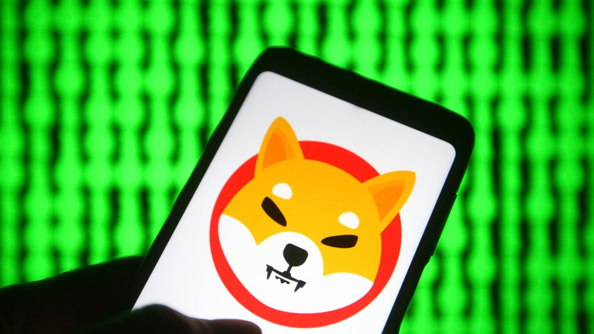 Shiba Inu Is Up Over 100% in the Last 7 Days—Here's What to Know Before Investing - Vimarsana News
