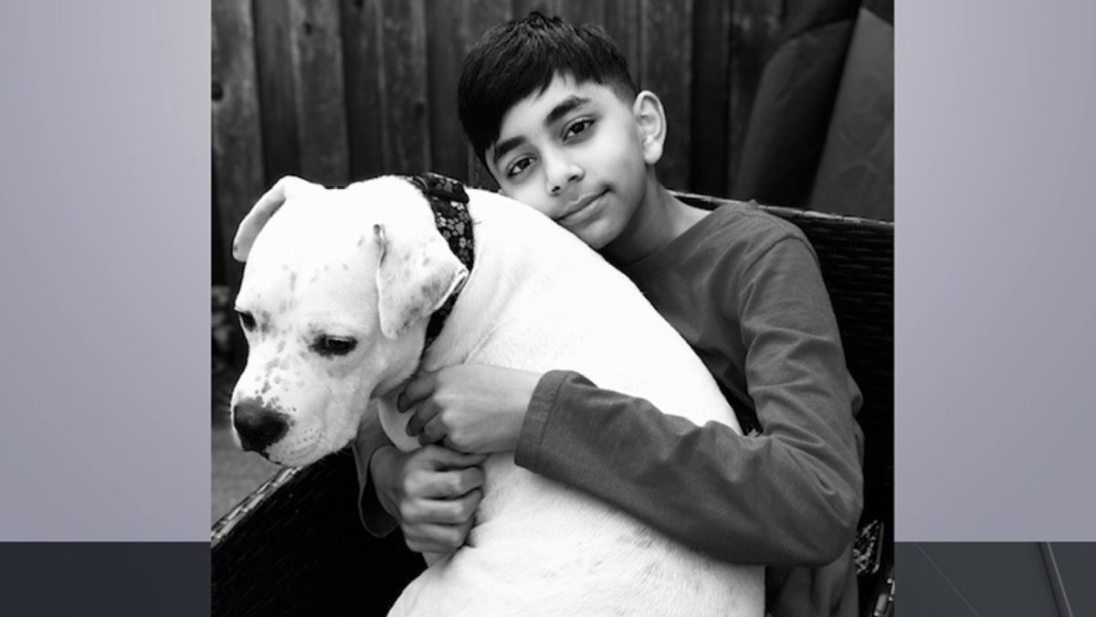 Bronx Boy Who Makes Animations Of Adoptable Dogs Is Honored As Aspca Kid Of The Year Nbc New York