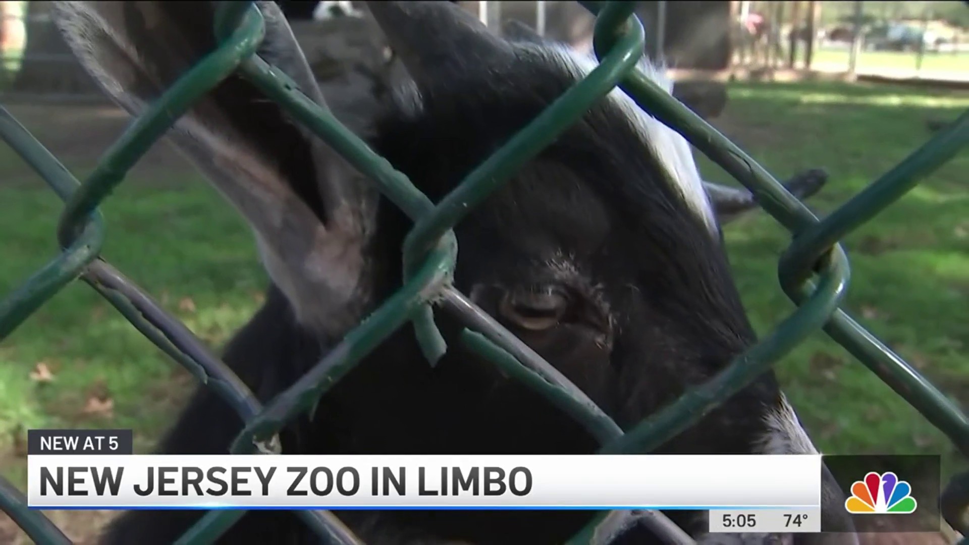 Jersey Zoo 