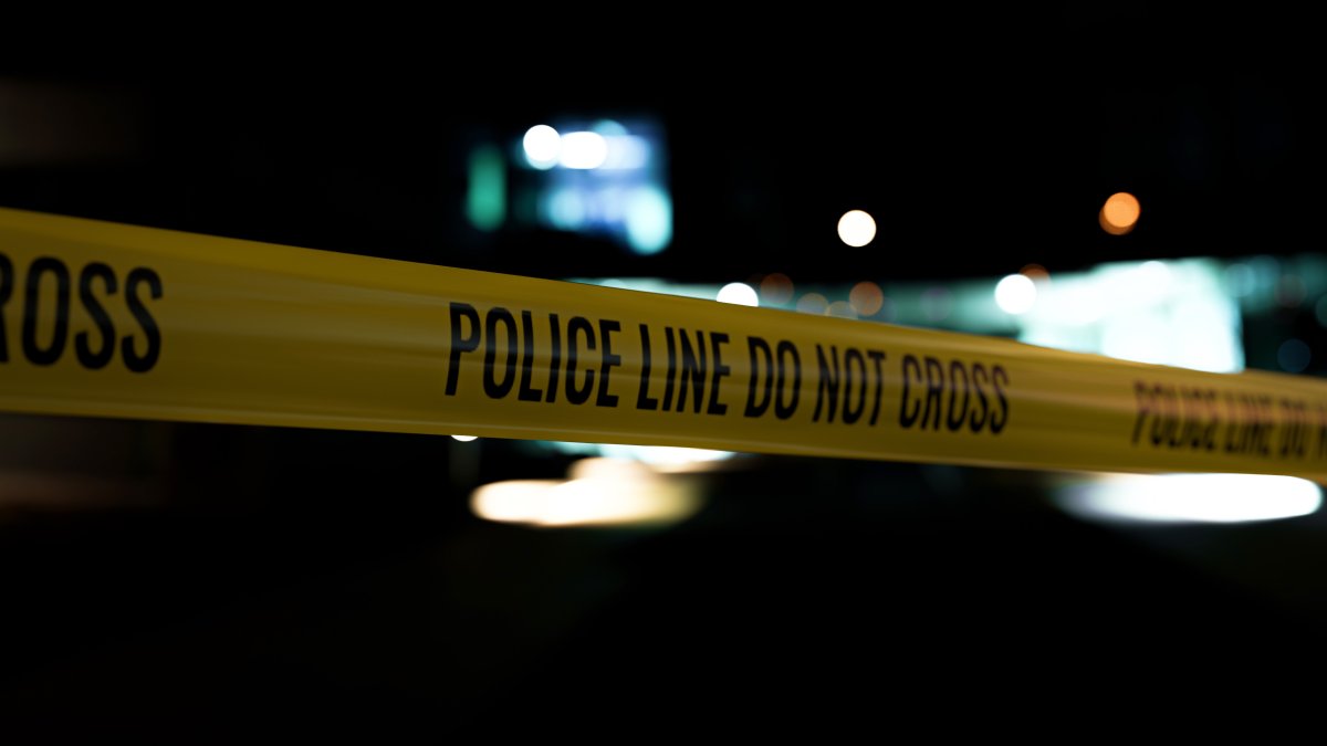 2 Men Shot and Killed in the Bronx Late Saturday – NBC New York