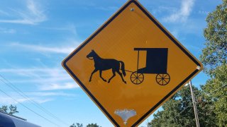 A file photo of a buggy crossing sign.