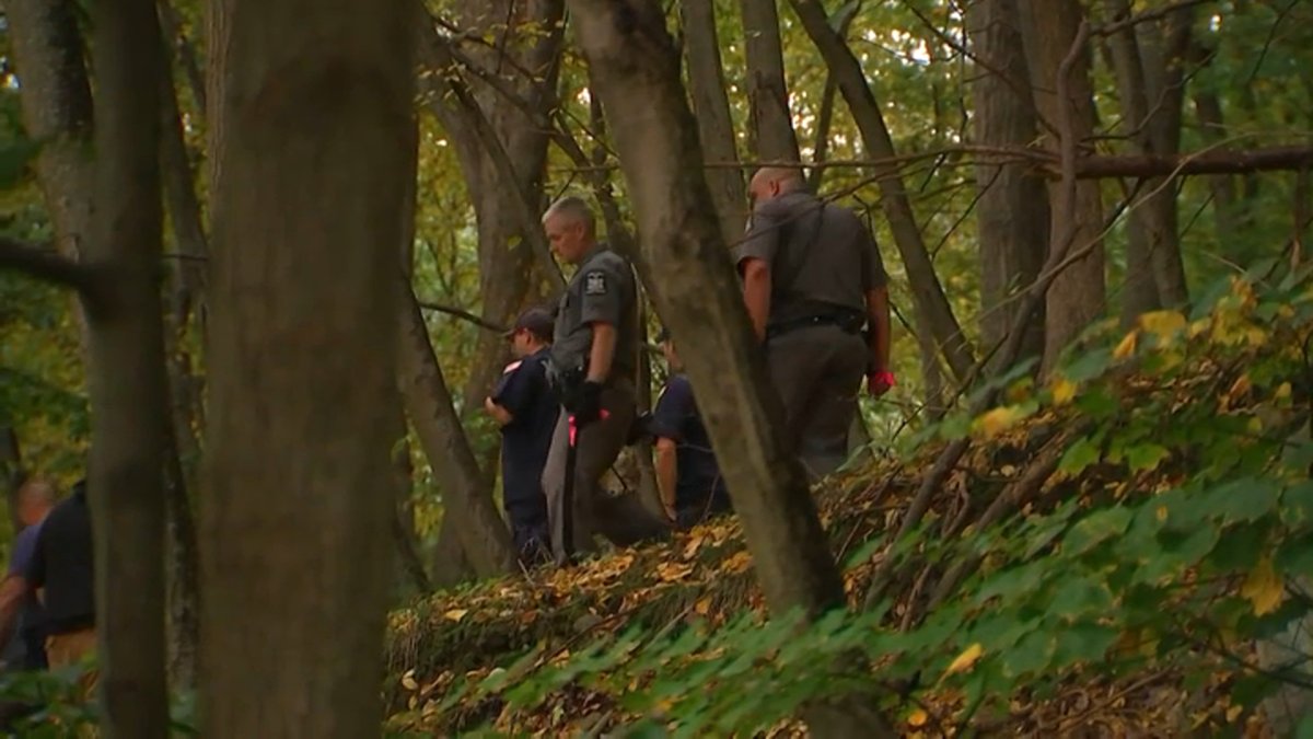 Helicopter Crash Kills 1 in New York – NBC New York - Vimarsana News