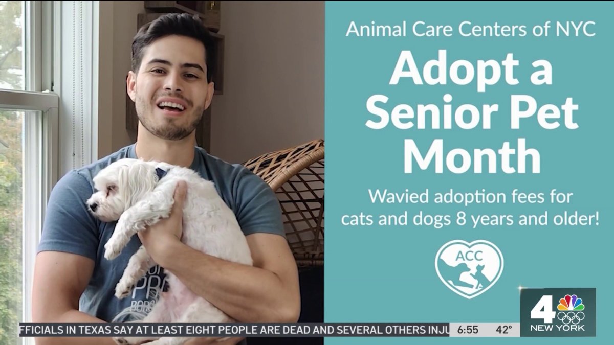 Clear the Shelters Meet the Seniors NBC New York