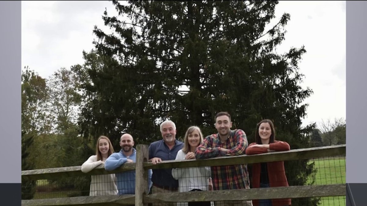 How 2021 Rockefeller Center Christmas Tree Was Picked Nbc New York