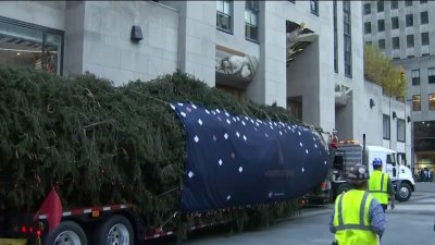 Rockefeller Center Christmas Tree Arrives Nbc New York