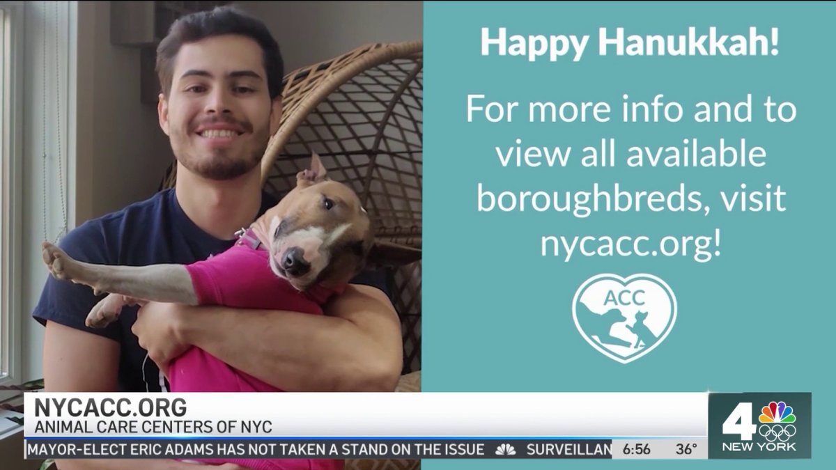 Clear the Shelters Hanukkah Safety Tips NBC New York