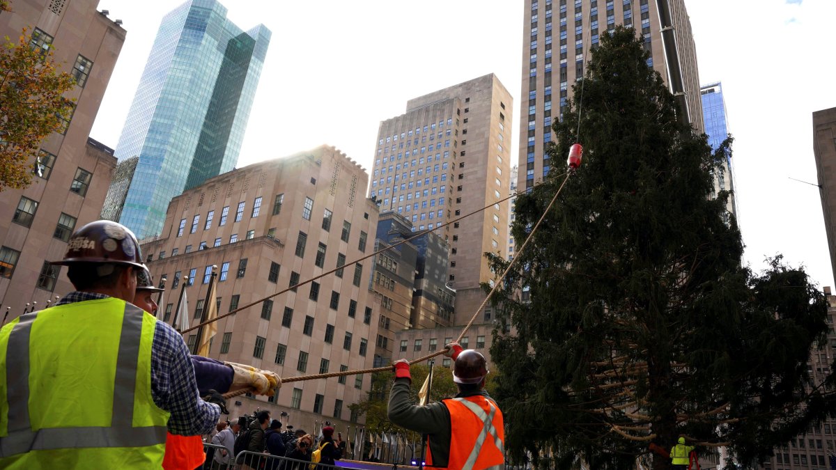 Rockefeller Christmas Tree Comes Down Early in Anticipation of Weekend