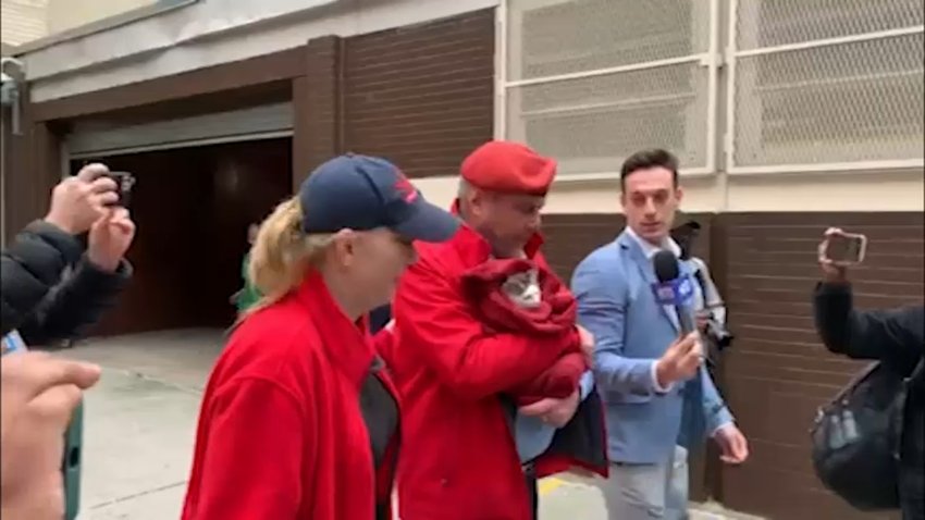 NYC GOP Mayoral Candidate Curtis Sliwa Outside Polling Place Carrying a Cat in a Blanket