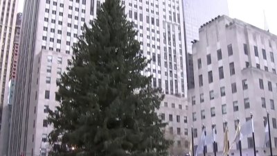 Christmas tree rockefeller center live cam