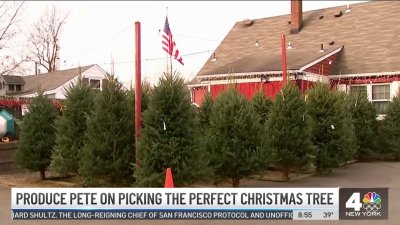 Produce Pete: Christmas Trees