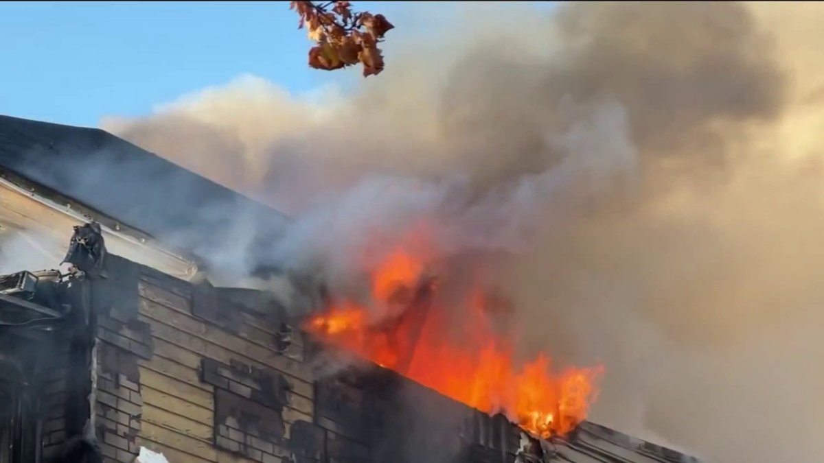 NYC Mom Throws 3 Kids Out 2nd Story Window in Narrow Escape From Flames - Vimarsana News
