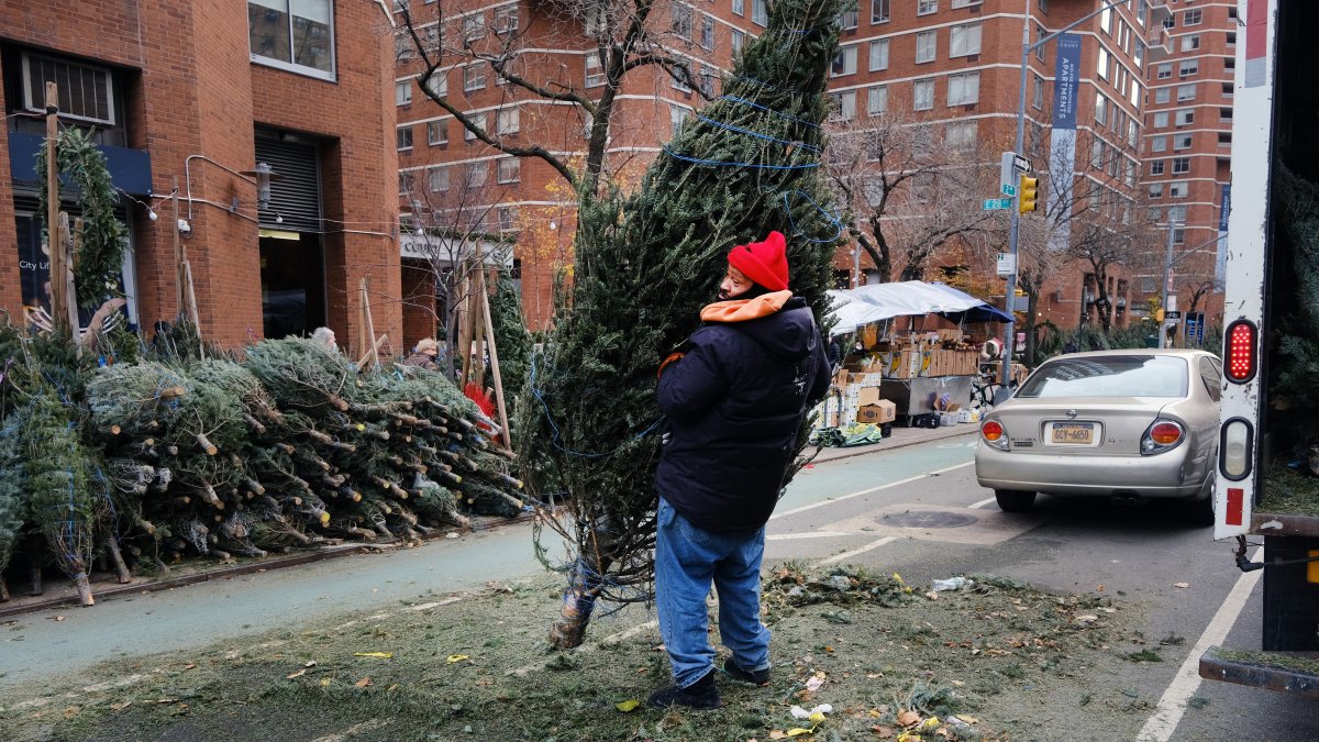 NYC Mulchfest Where to Recycle Christmas Trees in New York NBC New York