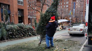 Men put Christmas trees in a truck for distribution to other sites at a sidewalk tree store in Manhattan on December 09, 2021 in New York City