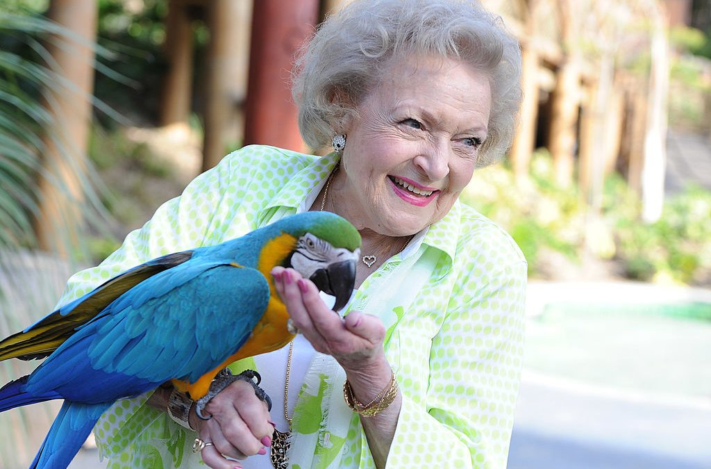 LA Zoo Honors Betty White on Her 100th Birthday – NBC New York - Vimarsana News