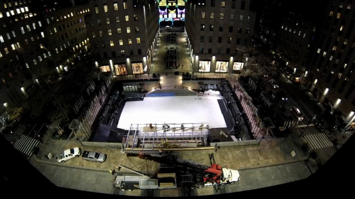 Rockefeller center tree 2021 owl video