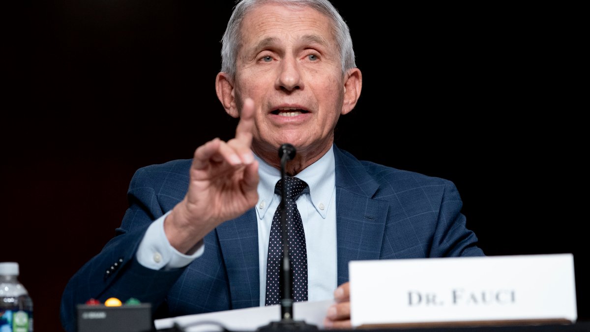 Fauci Says It’s Still an ‘Open Question’ Whether Omicron Spells Covid Endgame – Gadget Clock