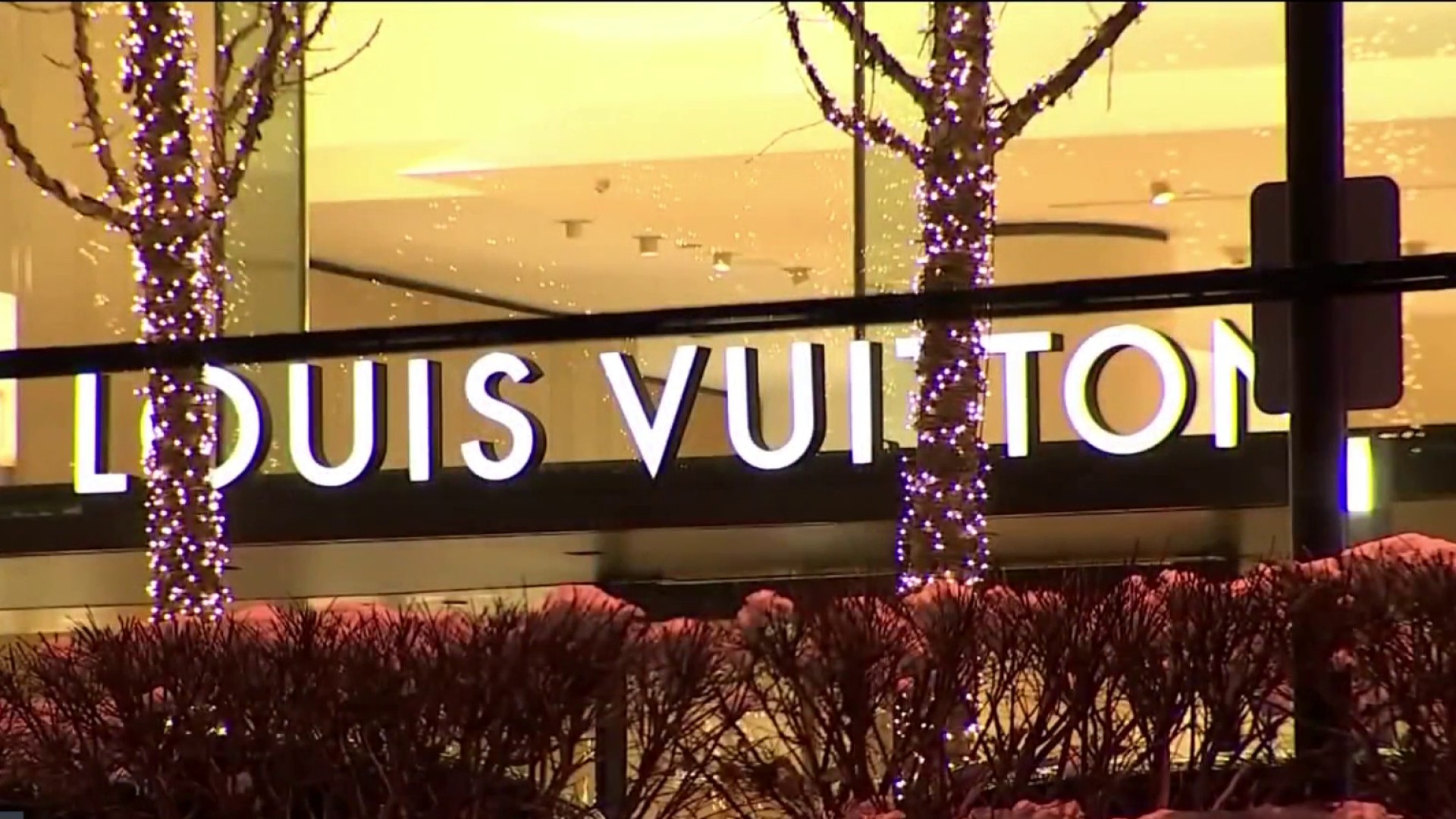 Louis Vuitton Store Robbed In Chicago Il 60  Natural Resource Department