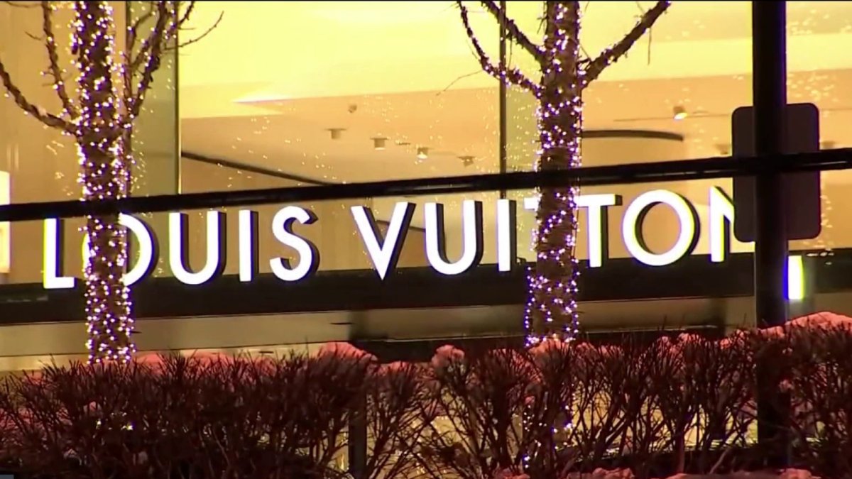 Pair Stole Louis Vuitton Items From Manhasset, Garden City Stores: Police