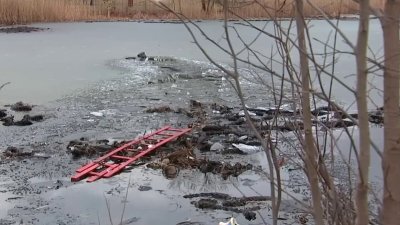 Two Children Rescued After Walking on Thin Ice At Queens Pond