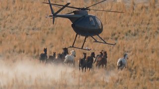 A helicopter pushes wild horses during a roundup on July 14, 2021, near U.S. Army Dugway Proving Ground, Utah. Federal land managers are increasing the number of horses removed from the range this year during a historic drought. They say it's necessary to protect the parched land and the animals themselves, but wild-horse advocates accuse them of using the conditions as an excuse to move out more of the iconic animals to preserve cattle grazing.