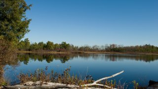 Lake at New Jersey Pinelands