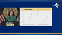ny covid rates