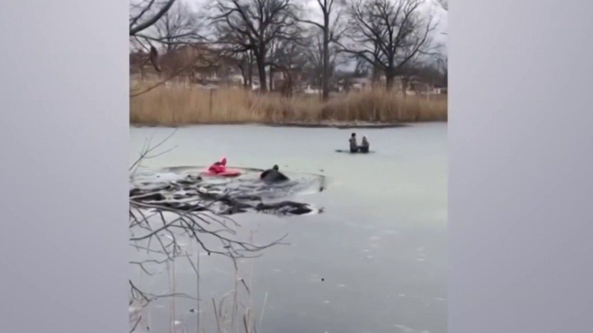 Rescuers of 2 children who fell through ice describe harrowing moments