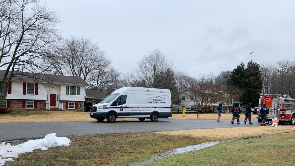 Maryland Man Found in Home With 100+ Snakes Died of Snake Bite – NBC New York - Vimarsana News