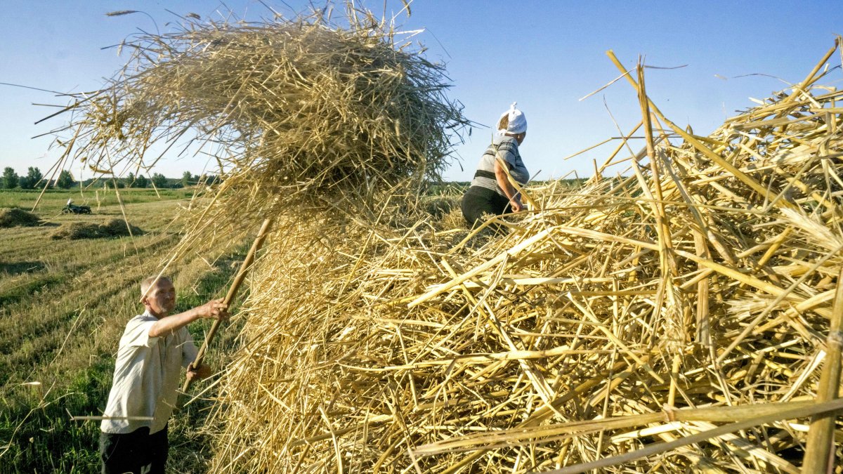 How a Russian Invasion of Ukraine, the 'Breadbasket of Europe,' Could Hit Supply Chains – NBC New York - Vimarsana News
