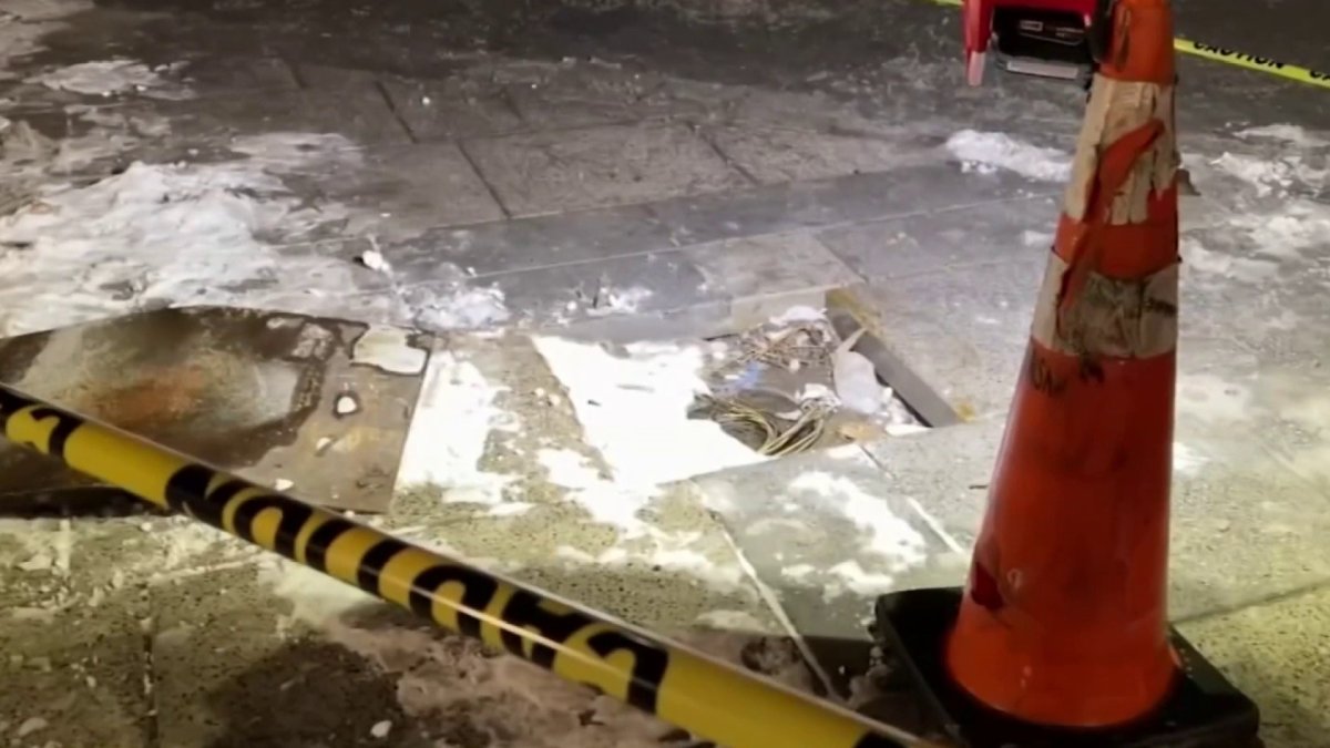 Dog Electrocuted on City Sidewalk NBC New York