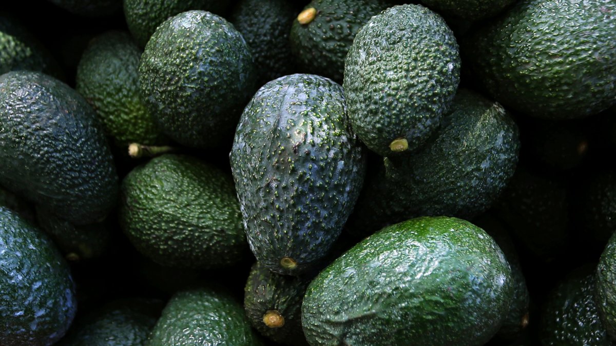 US suspends inspections of avocados, mangoes in Mexico’s Michoacan