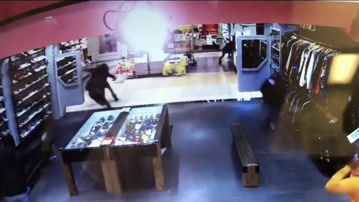 Shooting In Kings Plaza Mall Brooklyn Today Brooklyn Mall Shooting: New Video Shows Gunfire Erupt – NBC New York