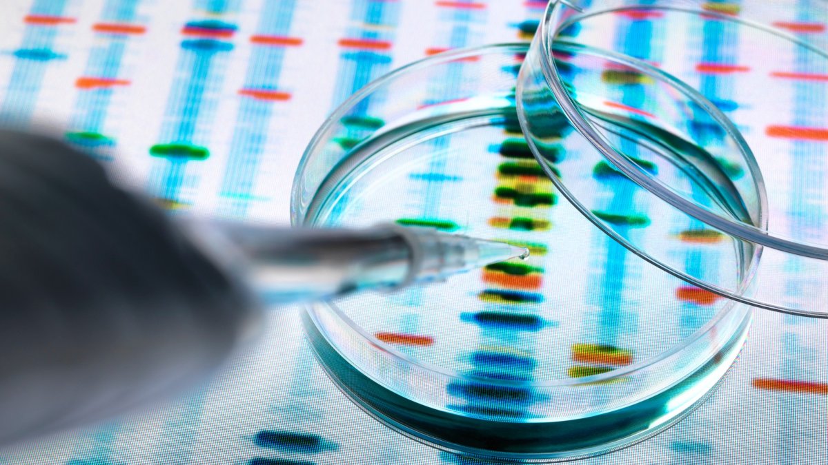 NYPD Accused of Collecting DNA for 'Rogue' Database – NBC New York - Vimarsana News