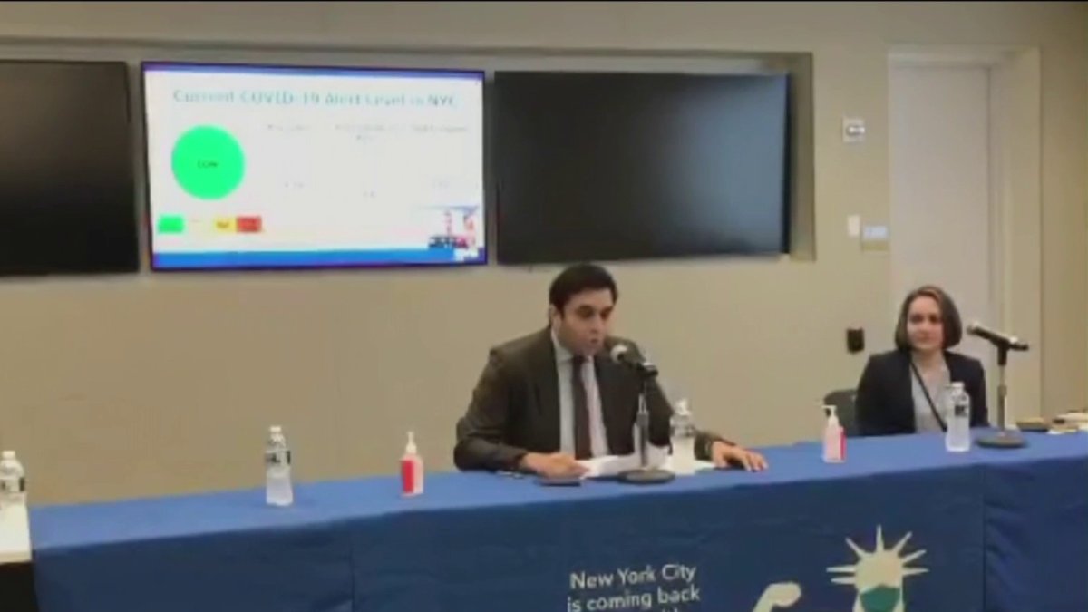 New NYC Health Commissioner Gives First COVID Briefing NBC New York