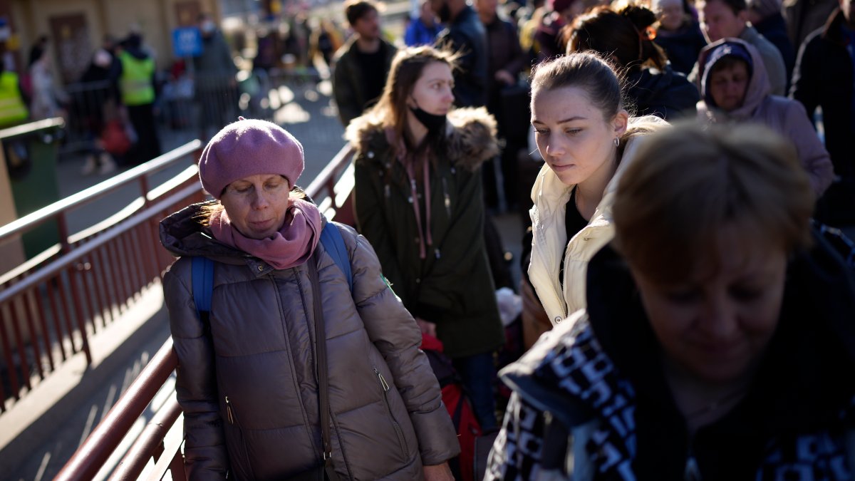 Украинские беженцы последние новости. Украинские беженцы. Беженцы в Британии. Украинские беженцы в Британии.