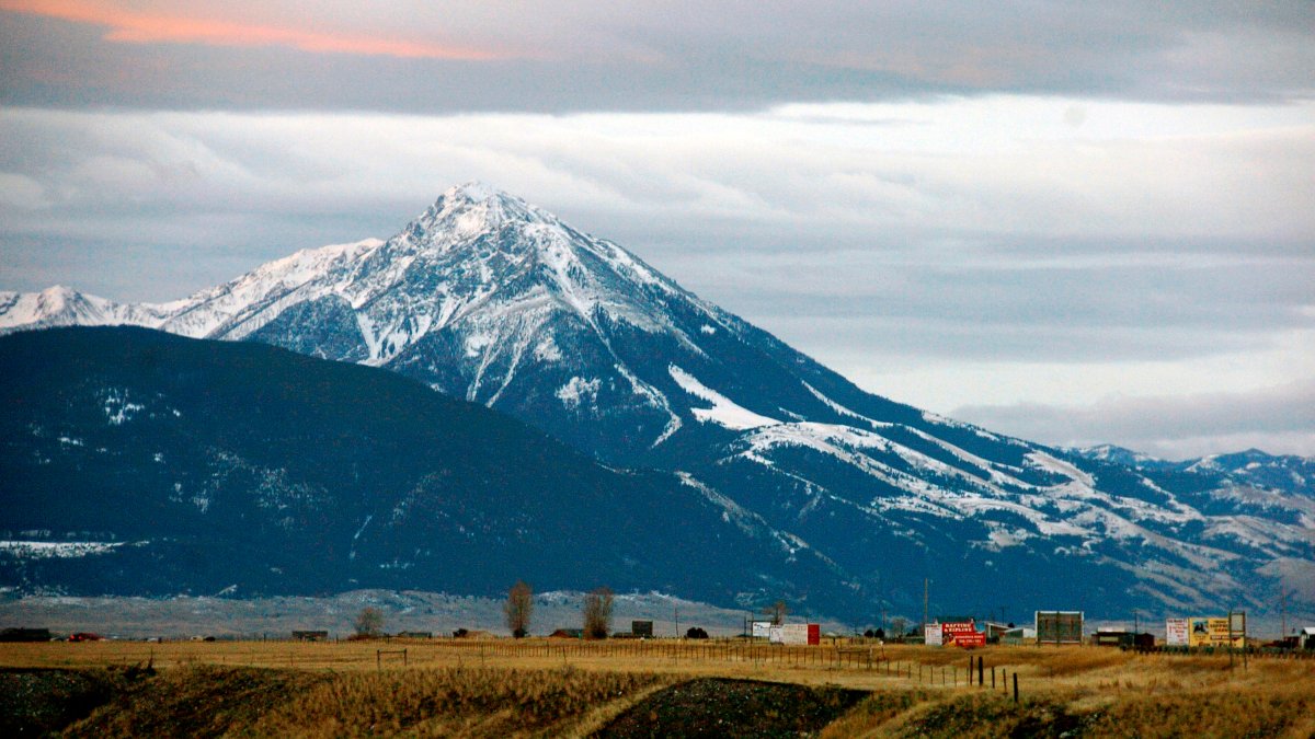 Montana Sheriff Says Hiker Killed, Grizzly Bear Suspected - Vimarsana News