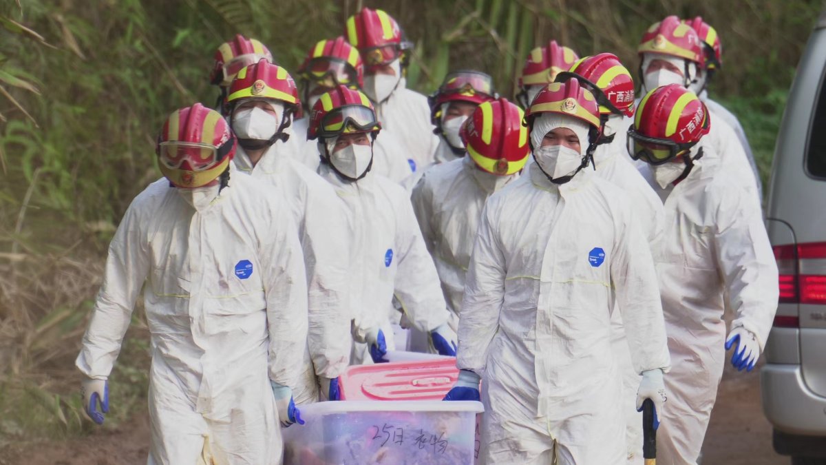 Second 'Black Box' Found in China Eastern Plane Crash