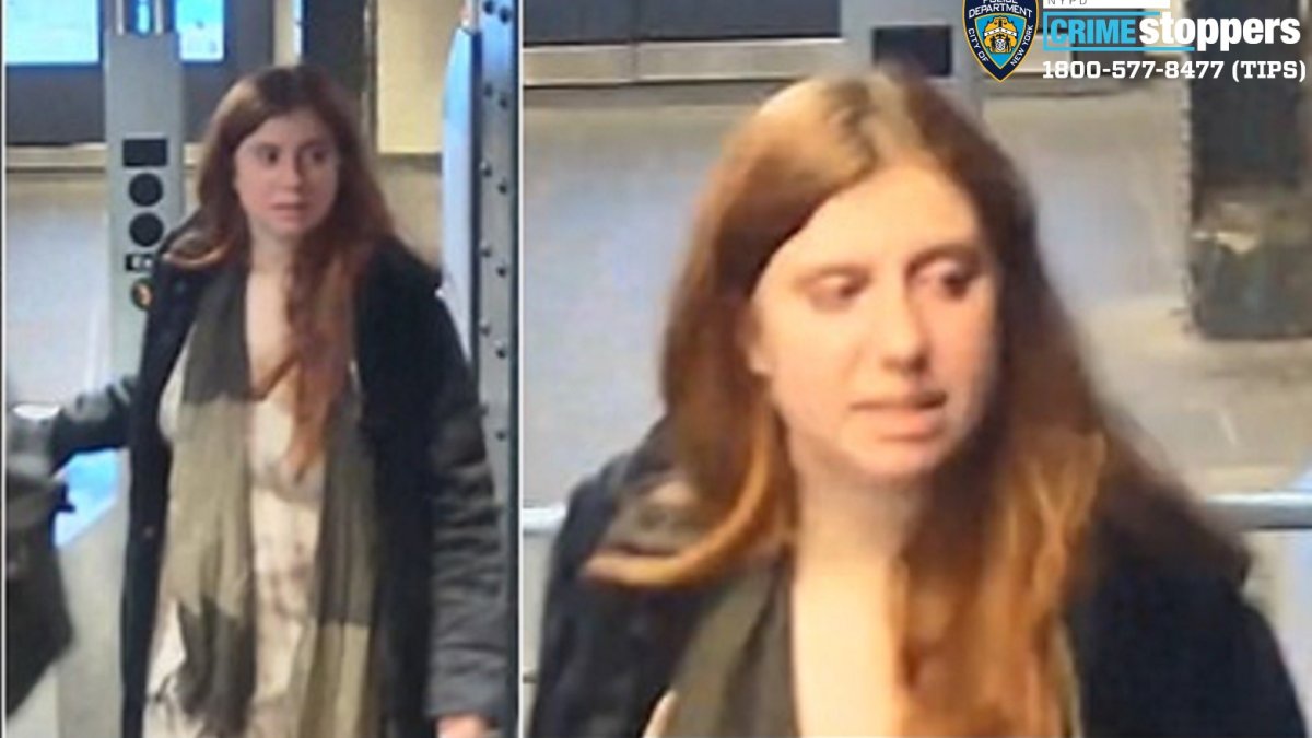 Barbara Gustern NYC: New Photos Show Woman Wanted in Shove Death – NBC ...