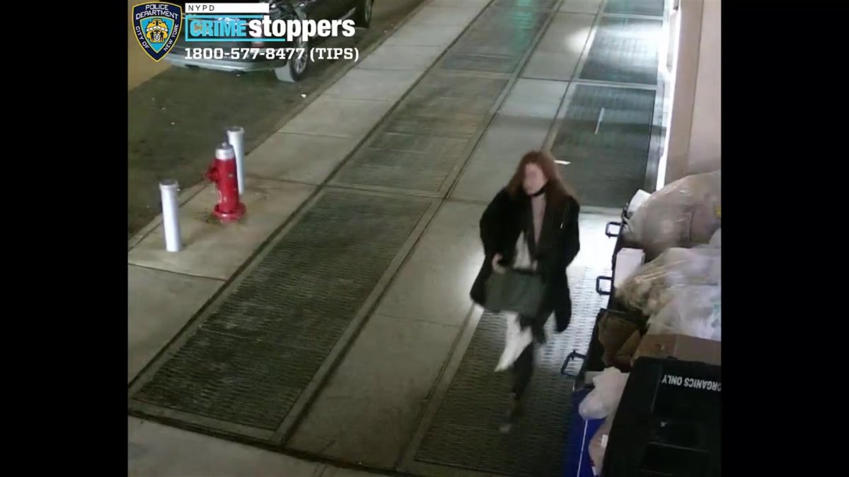 Woman Wanted in Random Shove of 87-Year-Old Woman in Manhattan – NBC ...