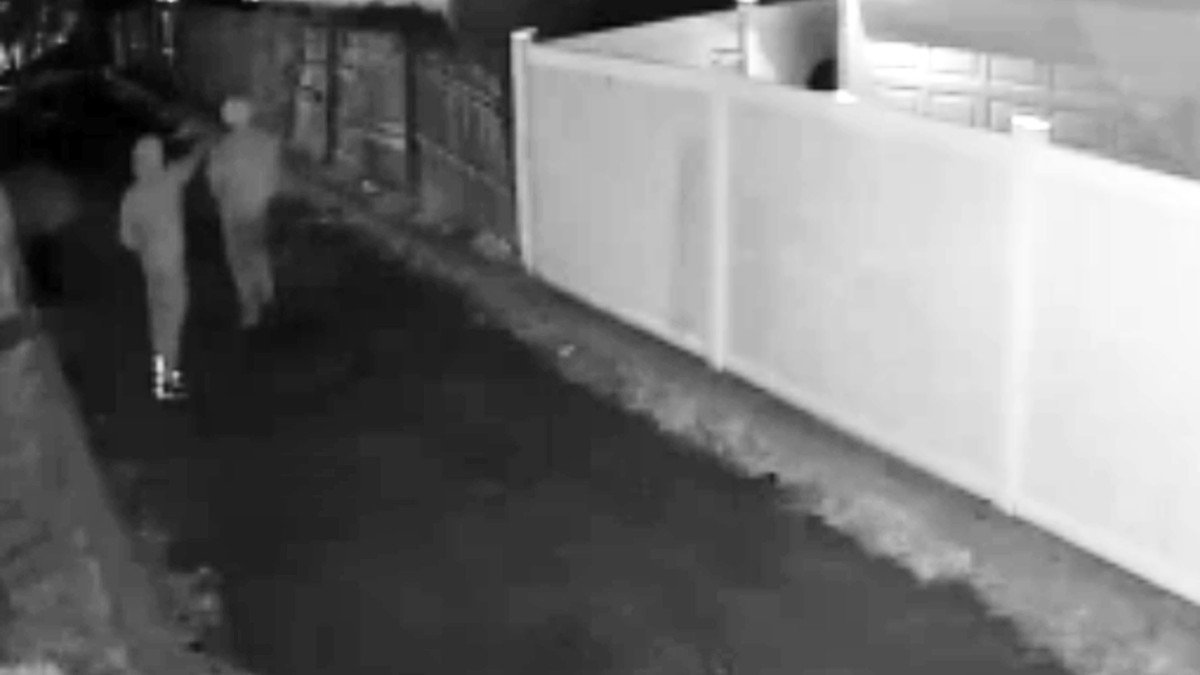 Queens Shooting: Suspect Wanted in Far Rockaway Execution – NBC New York - Vimarsana News