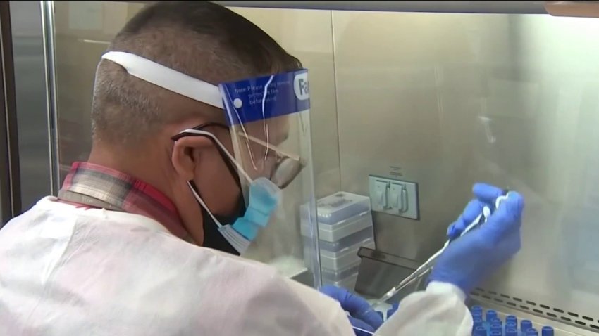 BA.2 Omicron Variant Cases Rise in NY: What to Know