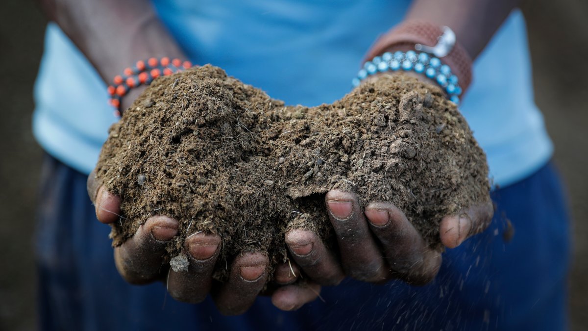 Russian War Worsens Fertilizer Crunch, Risking Food Supplies – NBC New York - Vimarsana News