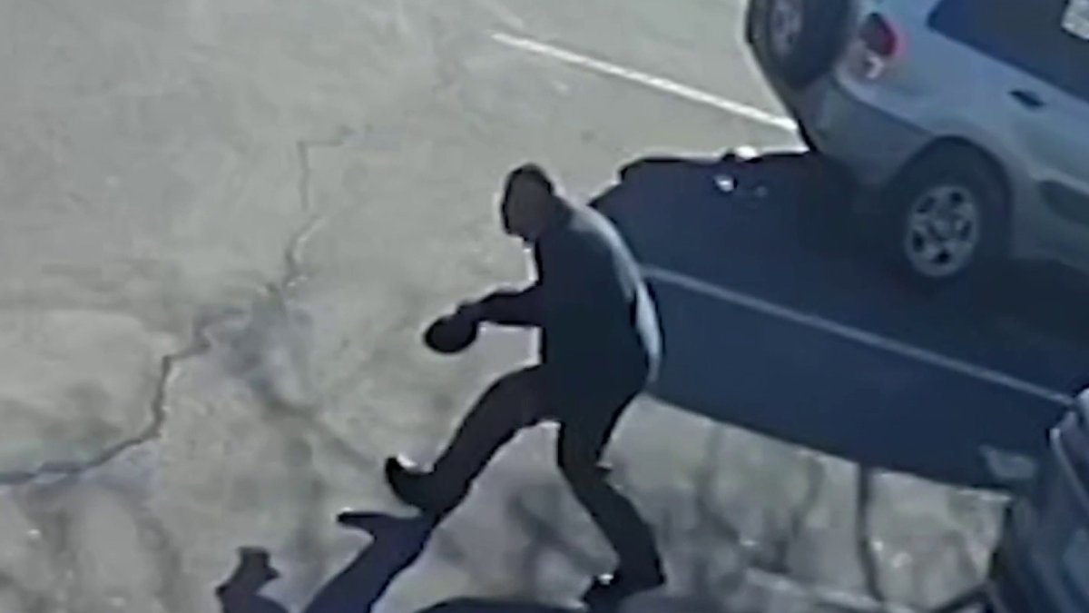 Mom Robbed at Gunpoint at LI Shopping Center While Strapping Child Into Car Seat - Vimarsana News