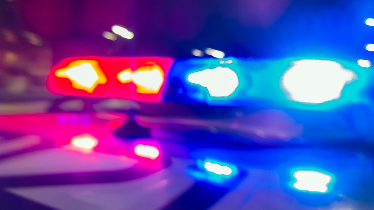 Man, 21, Arrested a Week After 3 Killed at Georgia Gun Range – NBC New York - Vimarsana News