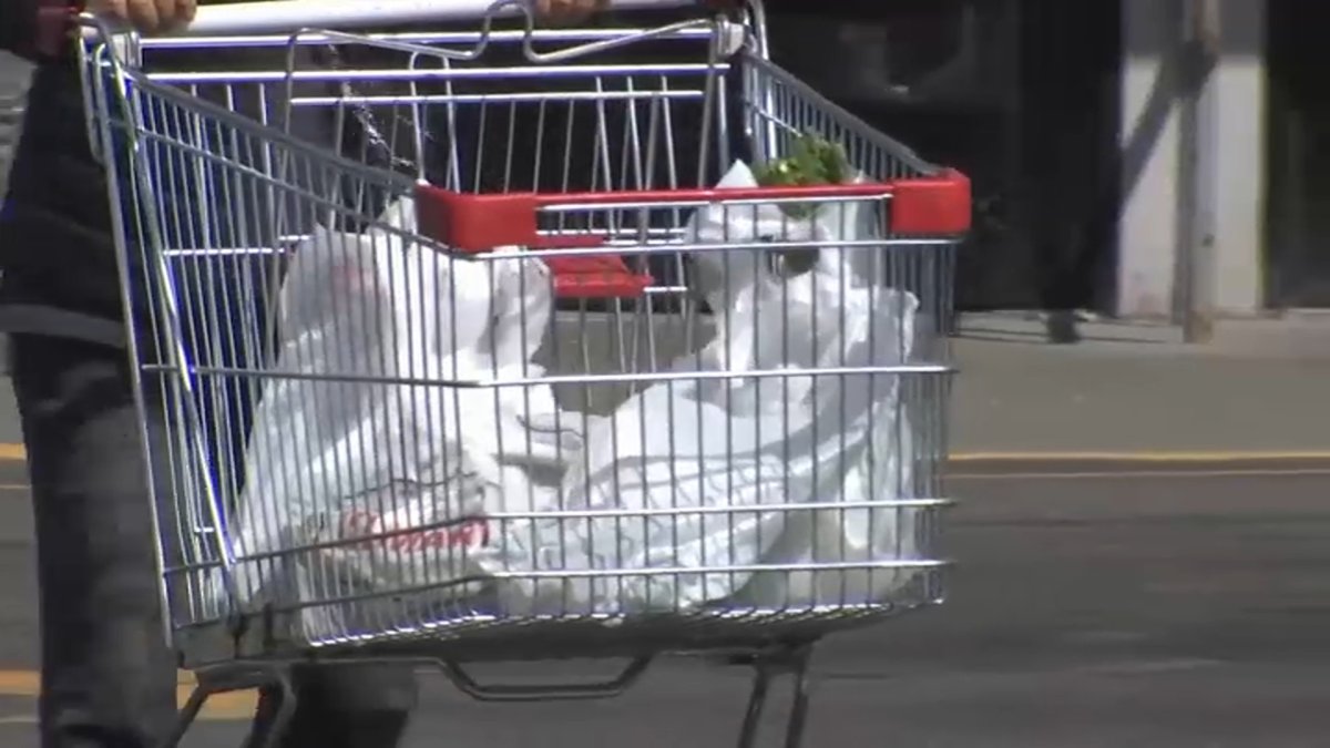 NJ Plastic Bag Ban What to Know NBC New York