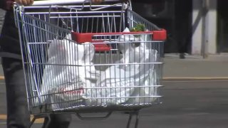 Plastic bags in shopping cart
