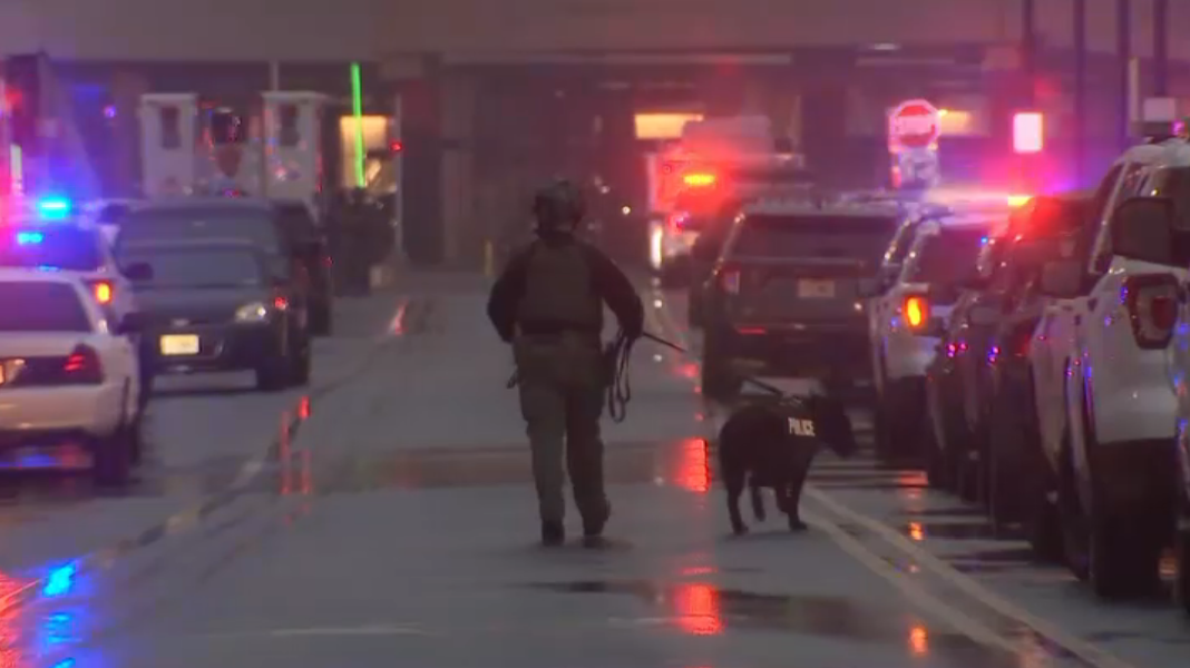 American Dream Mall Shooting: Suspect Arrested in Brooklyn – NBC New York - Vimarsana News