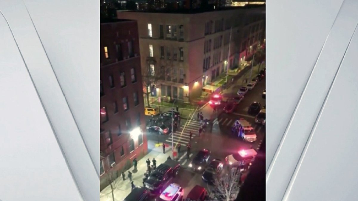 Shooting in the Bronx Kills Woman Sitting in Parked Car – NBC New York