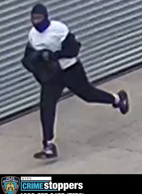 Man Shoots at Staten Island Dog Walker - Vimarsana News