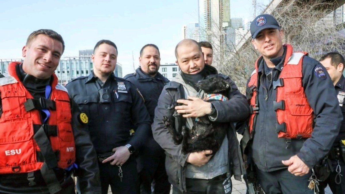 East River Dog Rescue: NYPD Special Ops Reunites Pup, Owner – NBC New York
